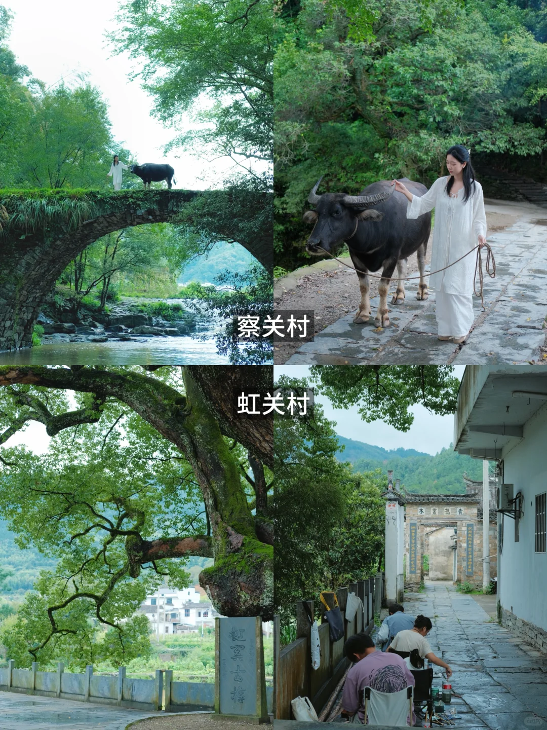 不扎堆⚠️景德镇-婺源4日超全小众攻略❗️