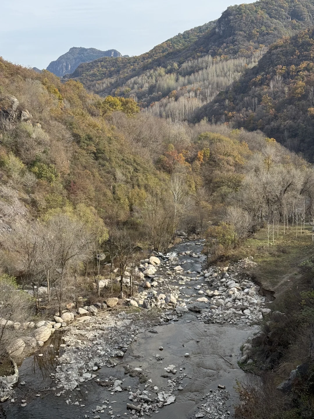 10.18 北京下雪啦❄️