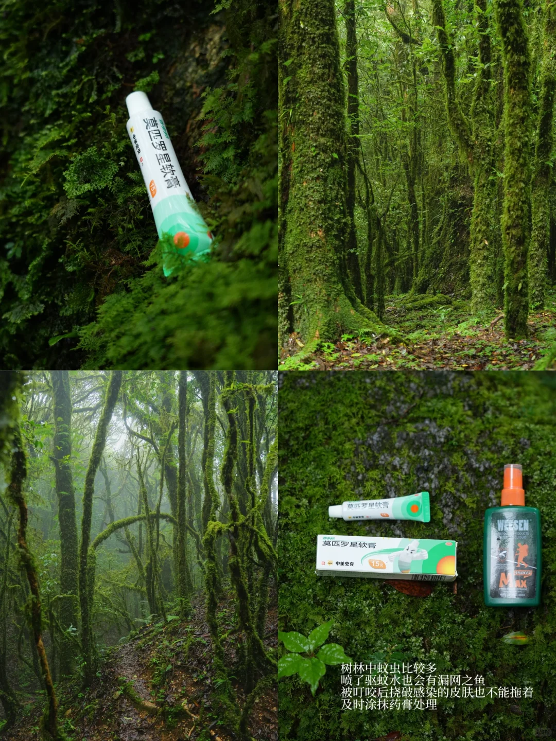 这是我至今为止走过最美的徒步路线！