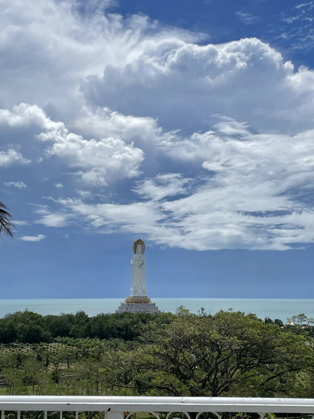 三亚观鸟：三亚湾和南山景区