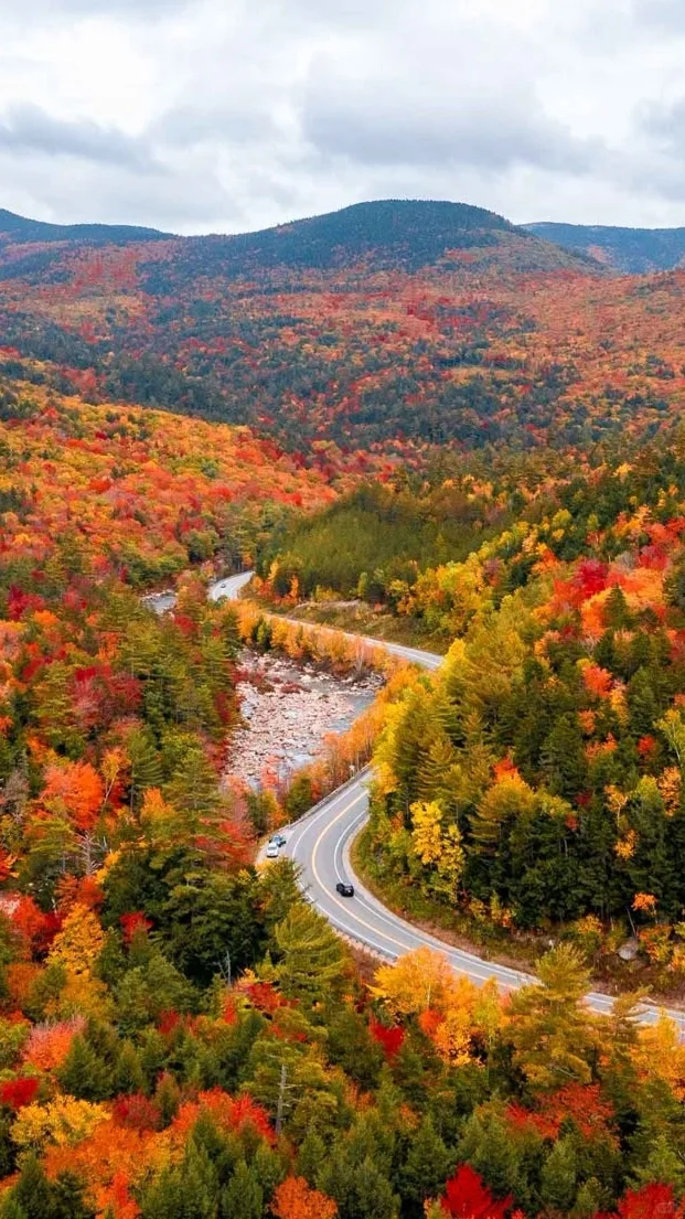 用满屏照片打开秋天的期待🍁🌰🧋…