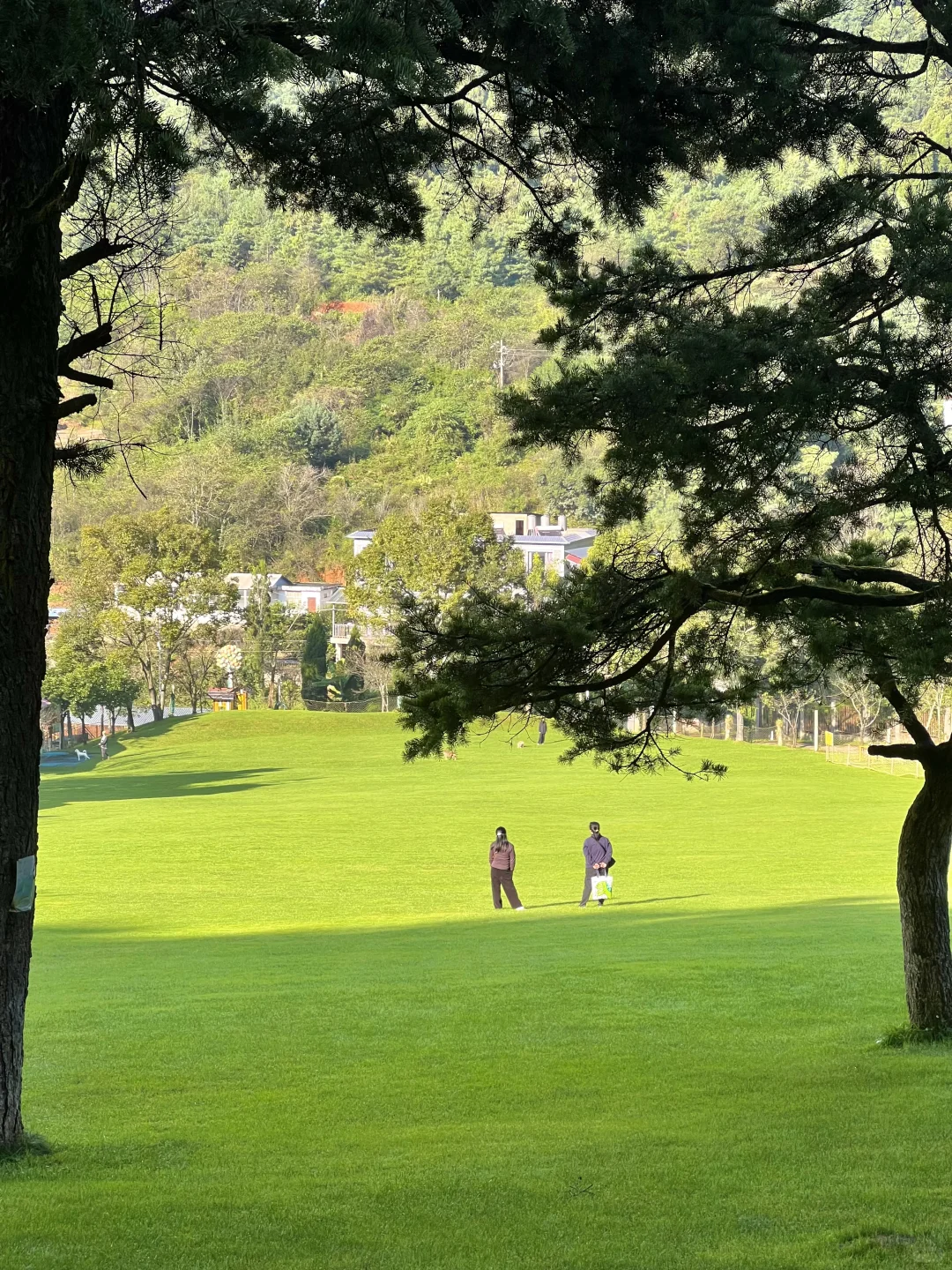 昆明40分钟,好像出国了一样,美哭了😭😭