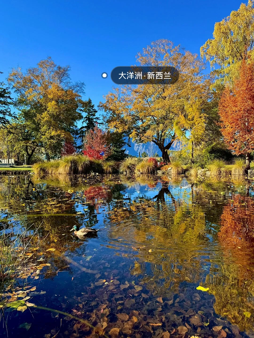 一生最值得去的15个国家