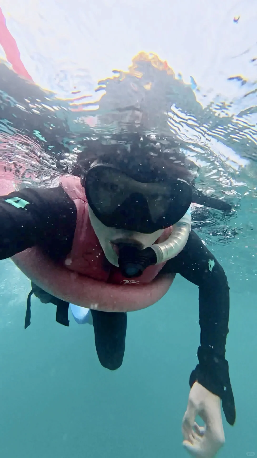 世界自然遗产大堡礁✅