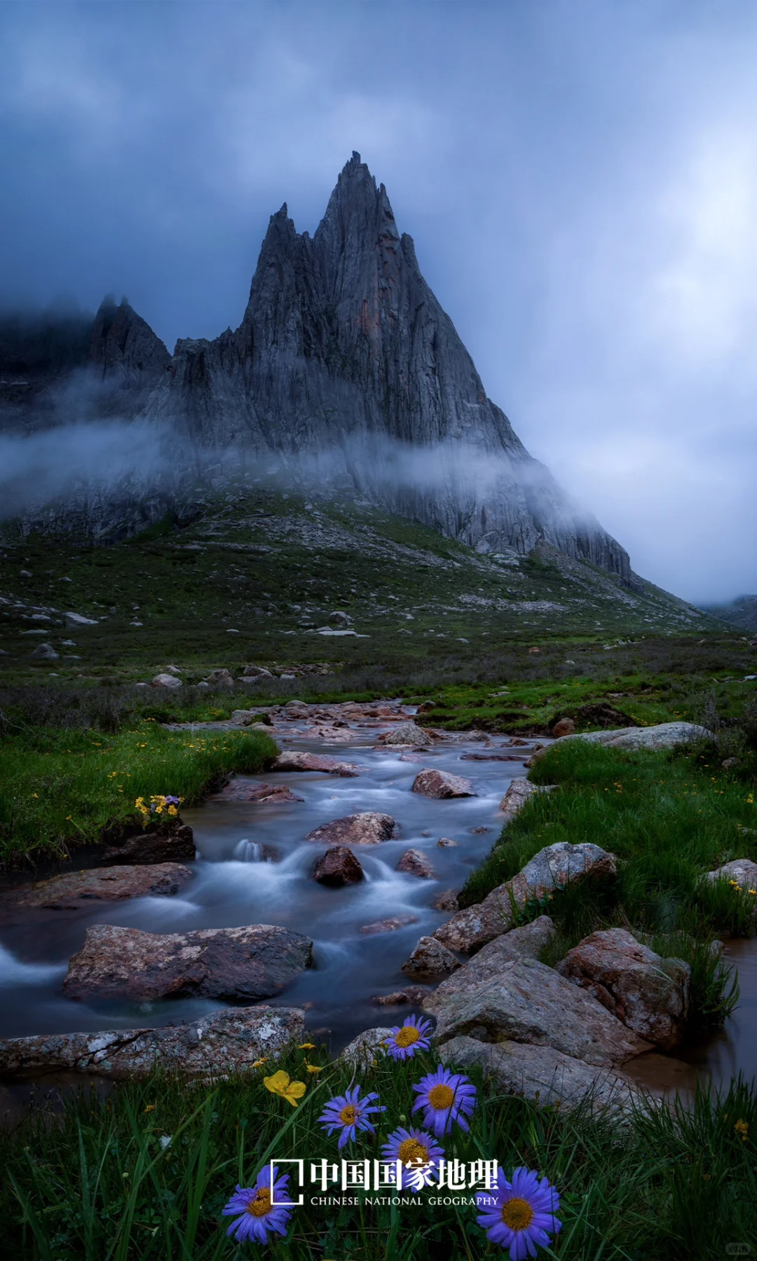 世界上，只有一个莲宝叶则！