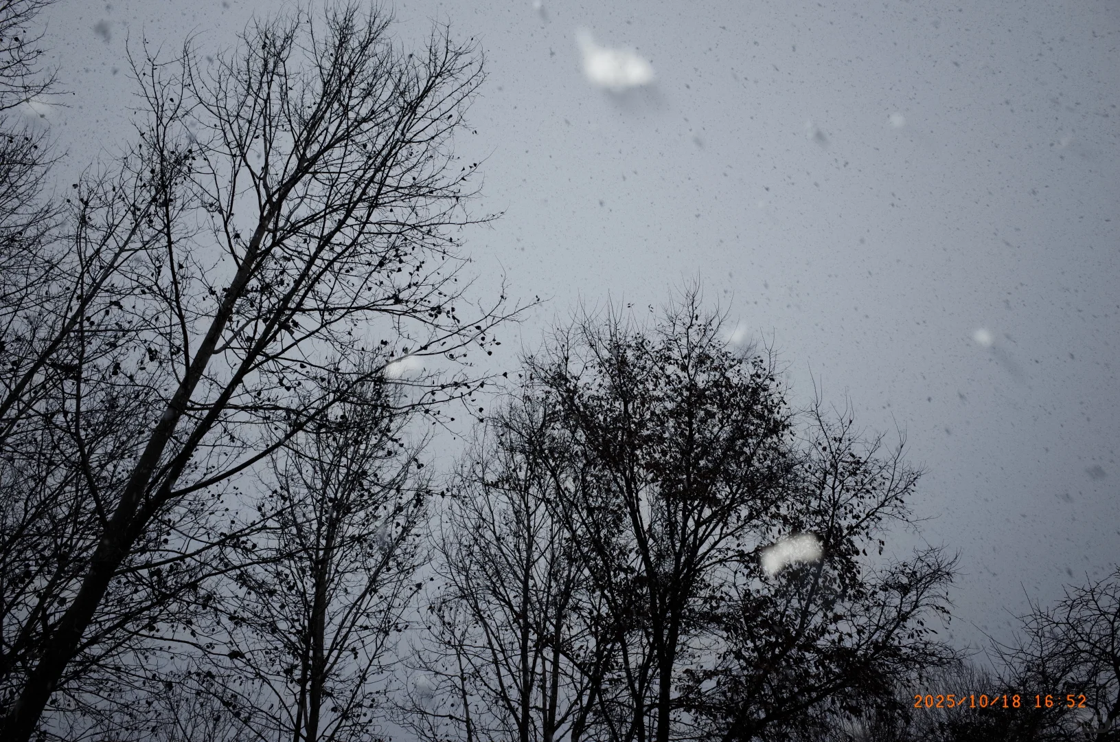 10.18 北京下雪啦❄️