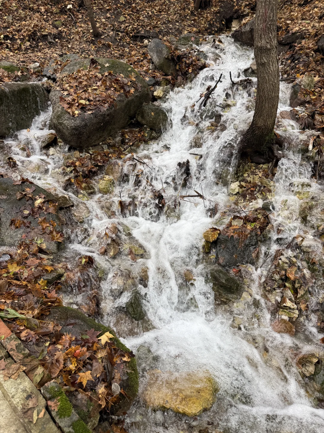 10.18 北京下雪啦❄️