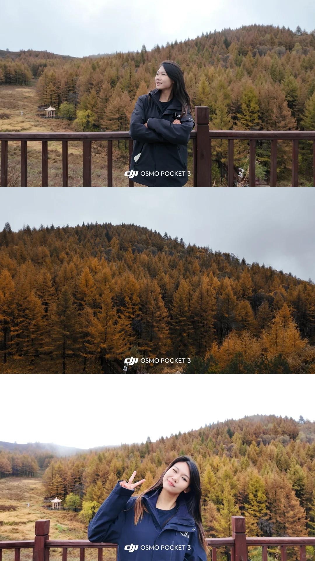 📍石家庄｜驼梁的金秋