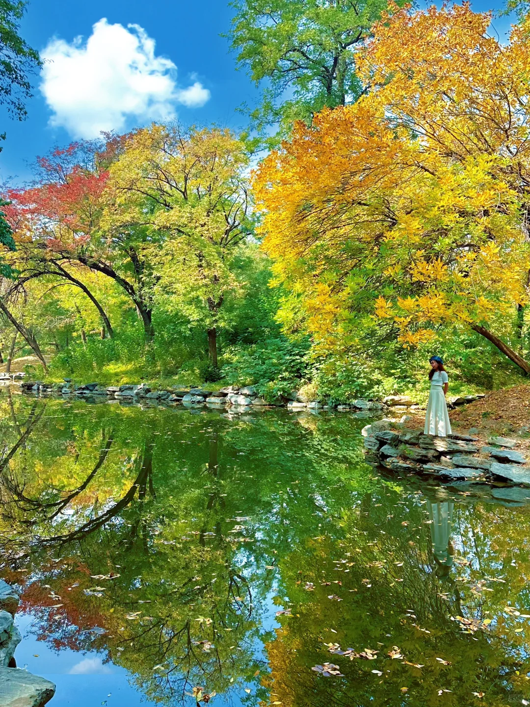 北京的秋天不这样玩儿等于白来！美到窒息！