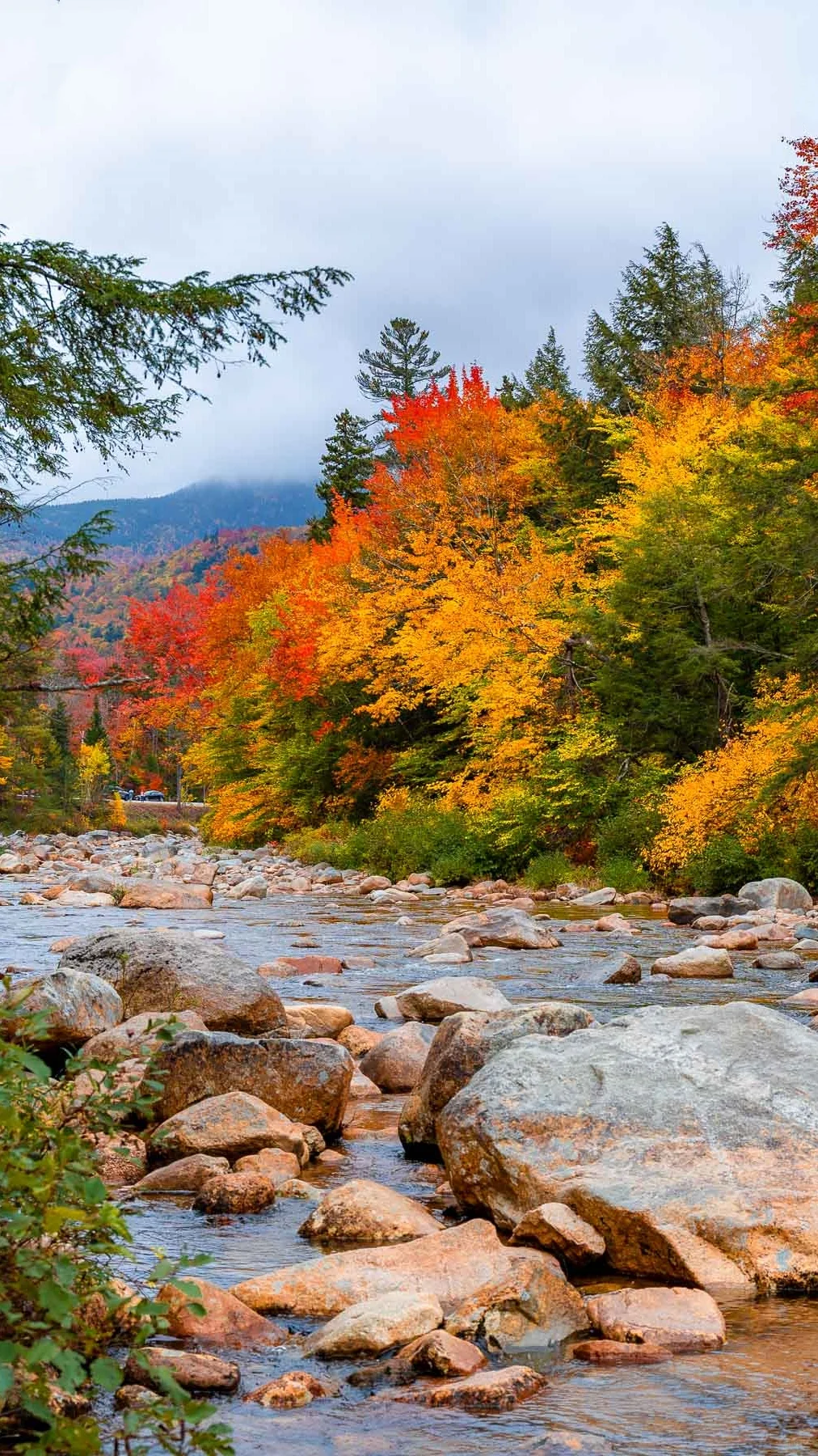 用满屏照片打开秋天的期待🍁🌰🧋…