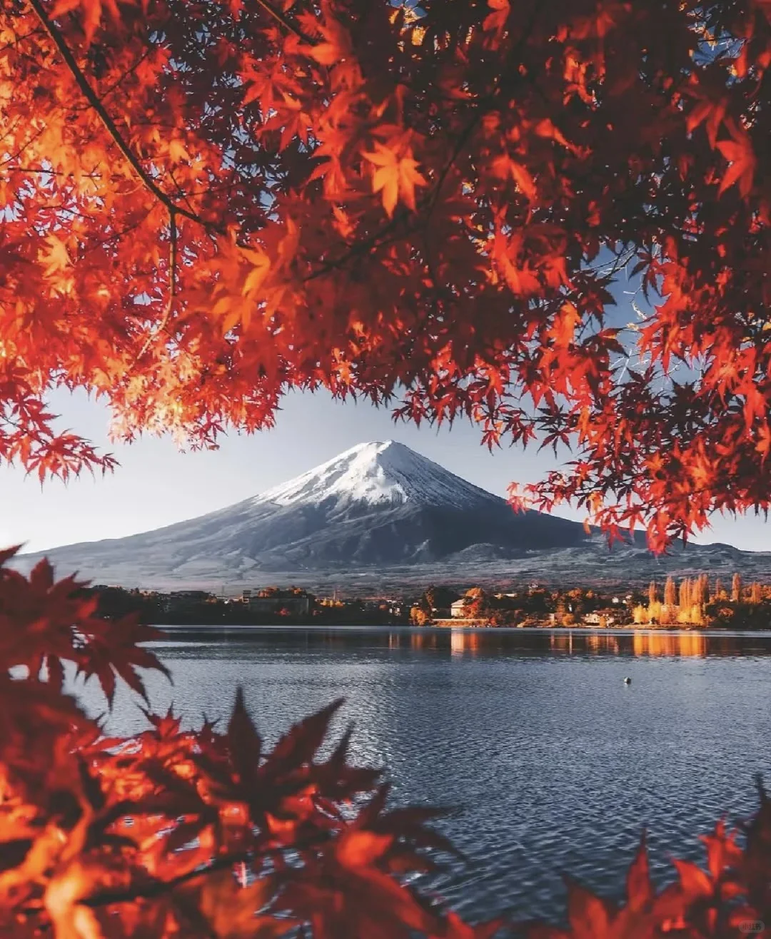 新手第一次出国可以选择的国家推荐😀