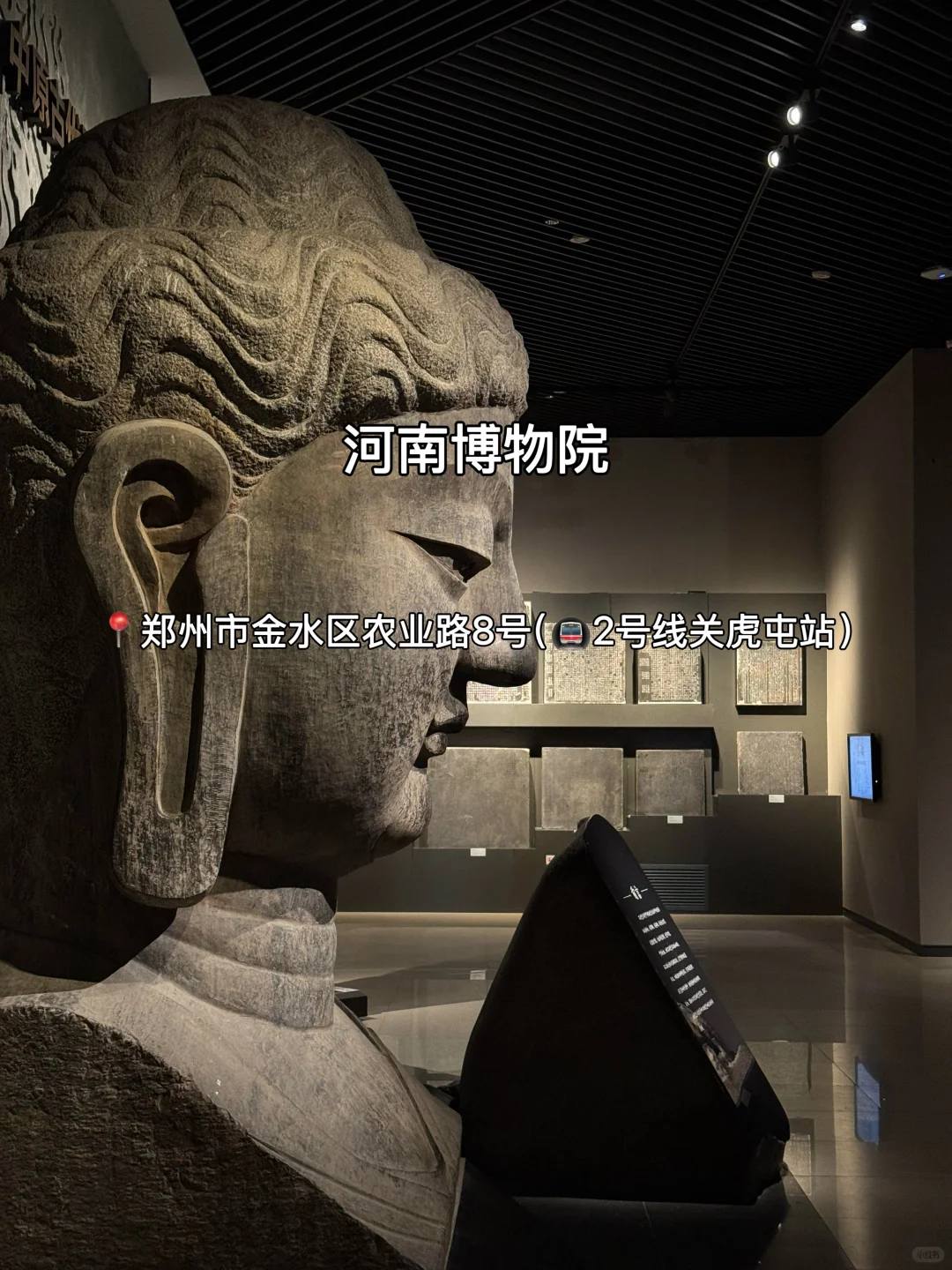 拜托🙏初秋来郑州这些景点一定要知道