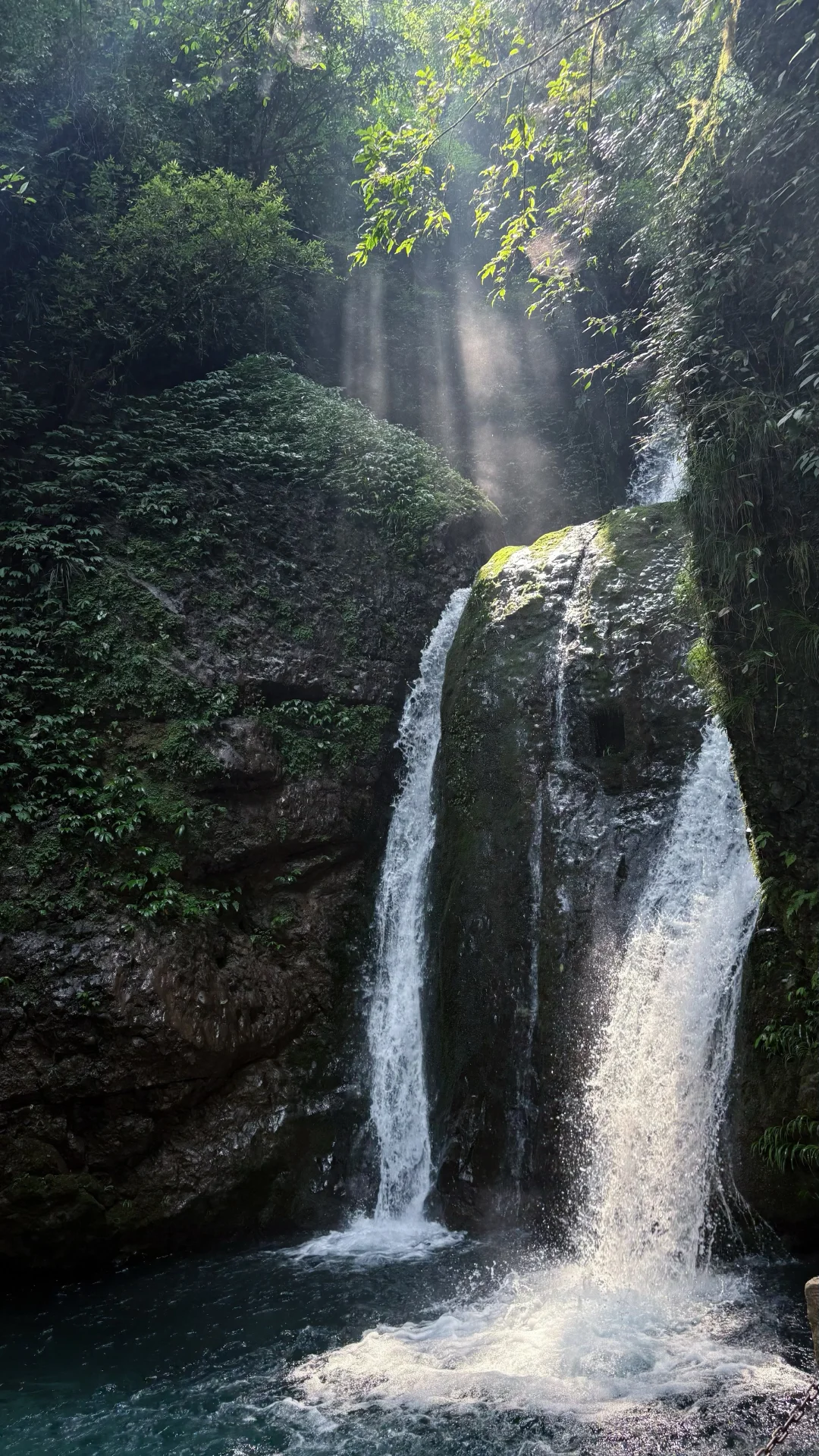 山林吸氧🍃青城后山一日徒步攻略