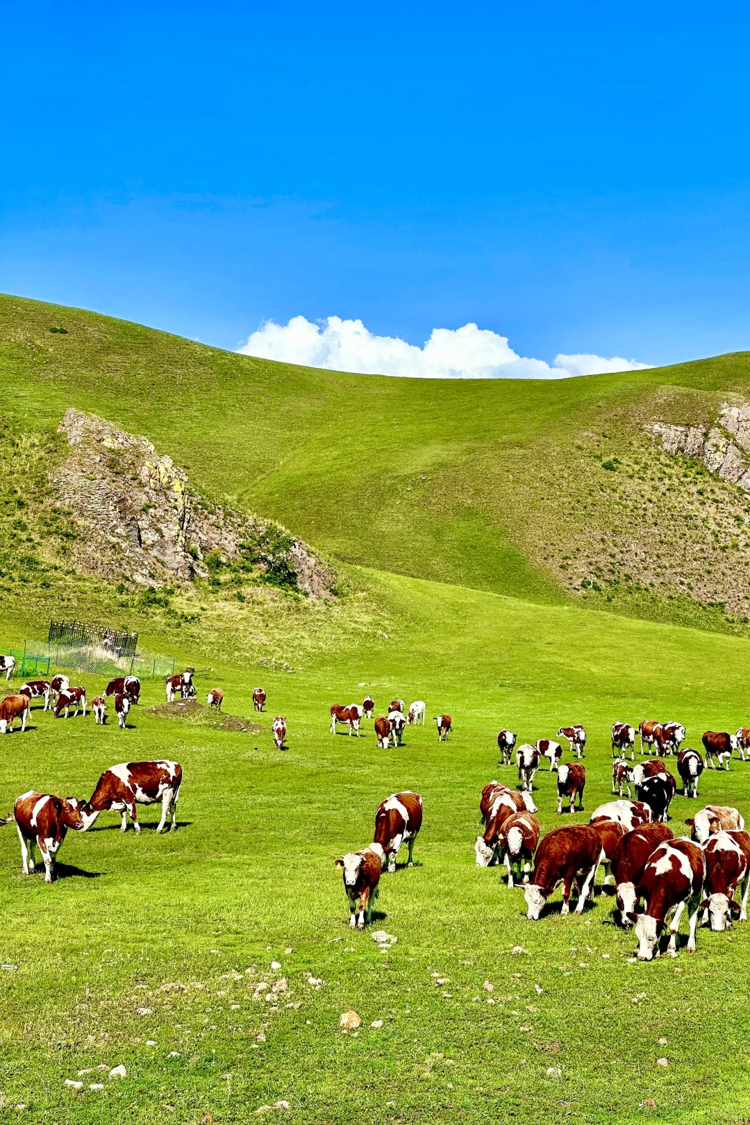 我很少用“震撼”形容一个地方……