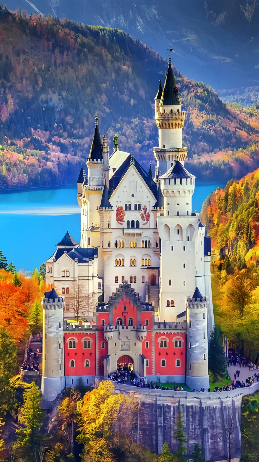 用满屏照片打开秋天的期待🍁🌰🧋…