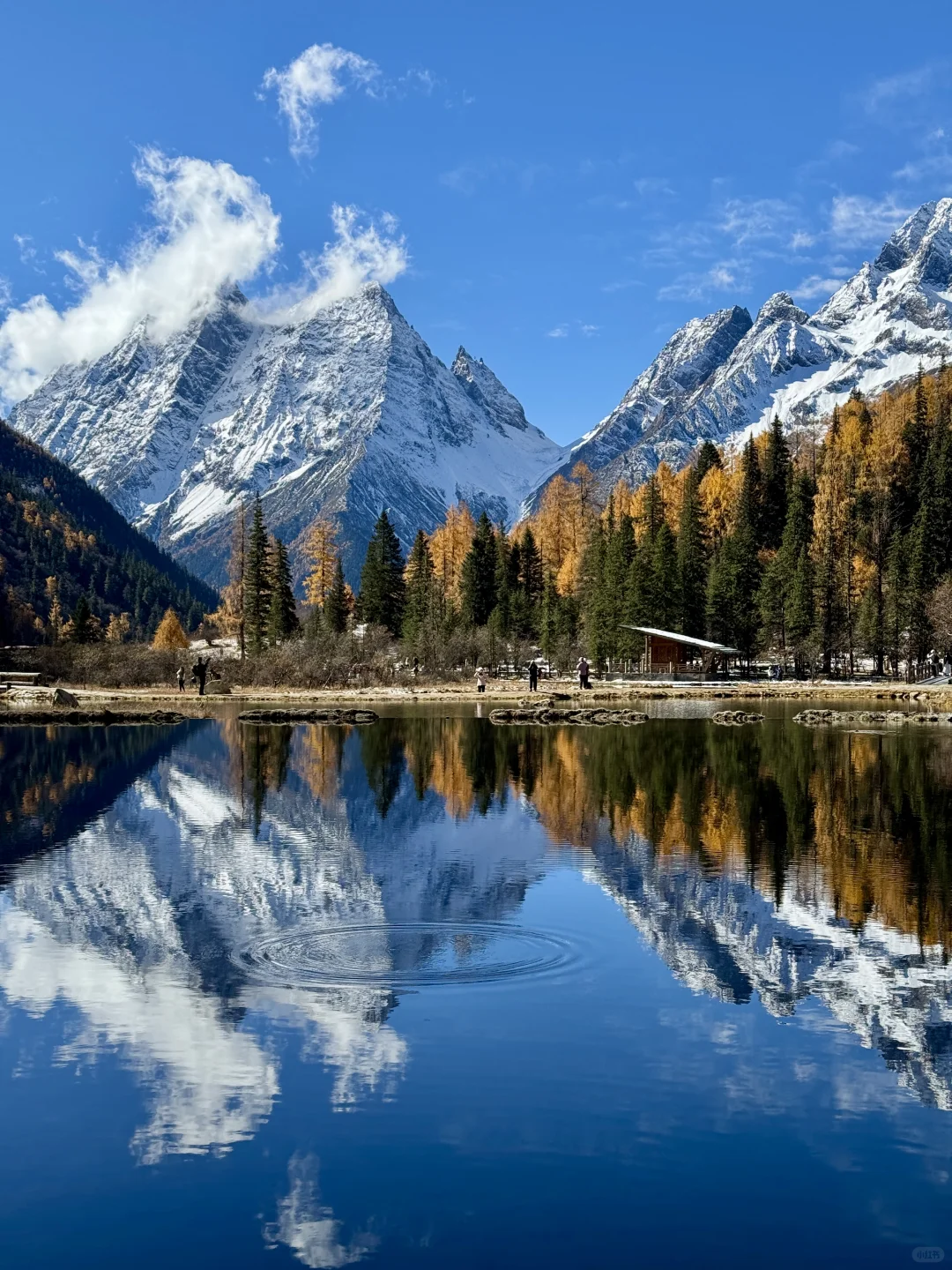 秋天的川西封神了！就是现在！错过再等一年