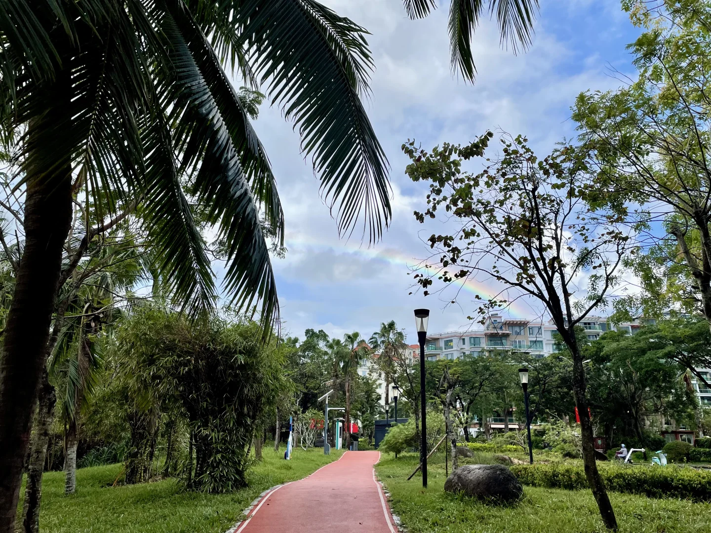 三亚观鸟：三亚湾和南山景区