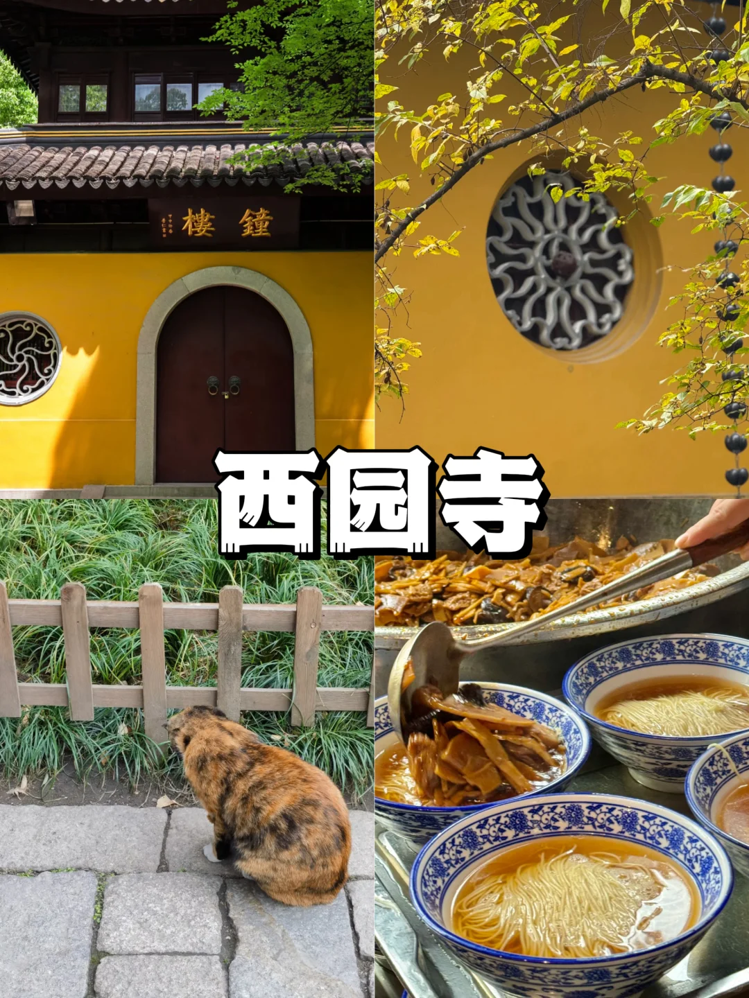 05女大📍苏州/三日游不走回头路线攻略❗️