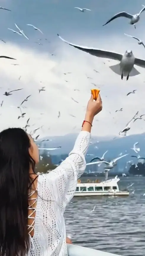 10月云南错峰游太香了！5天4晚，景美秒出片