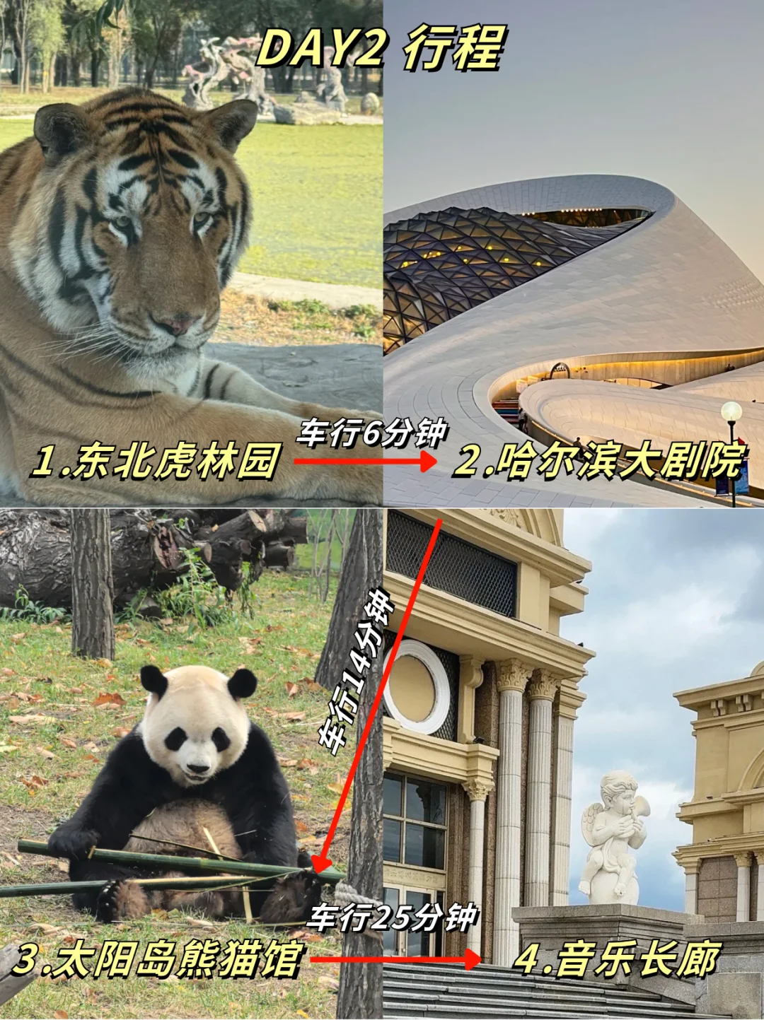 哈尔滨错峰3天2夜已回！熬夜整理的全攻略！！