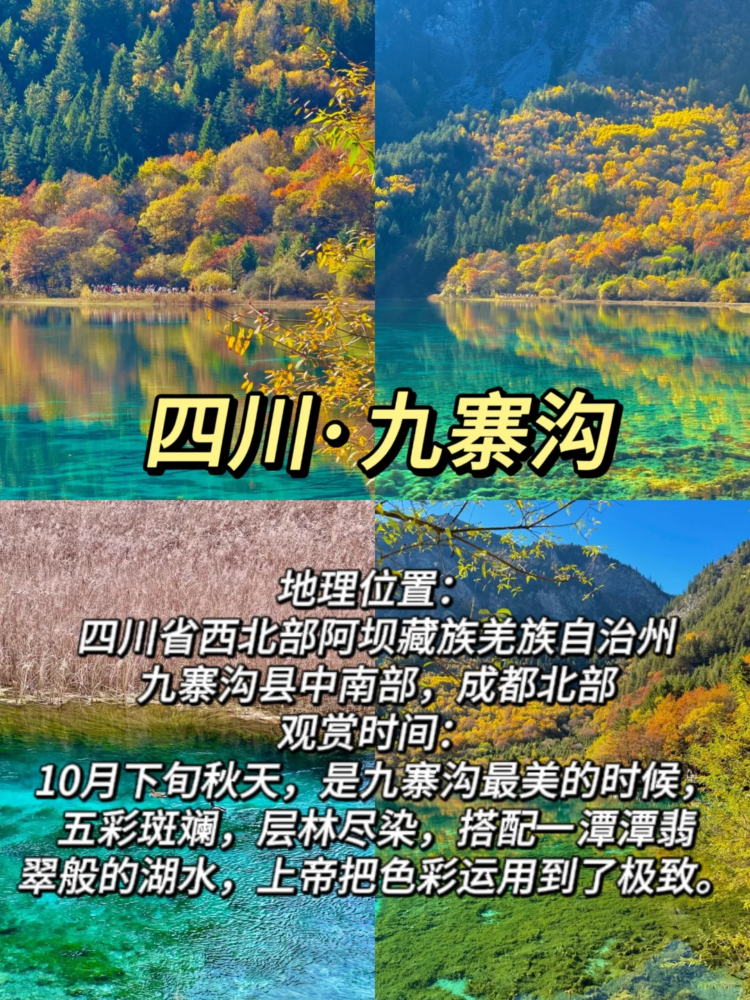 ✨适合11月赏秋的10个城市大合集🍁-