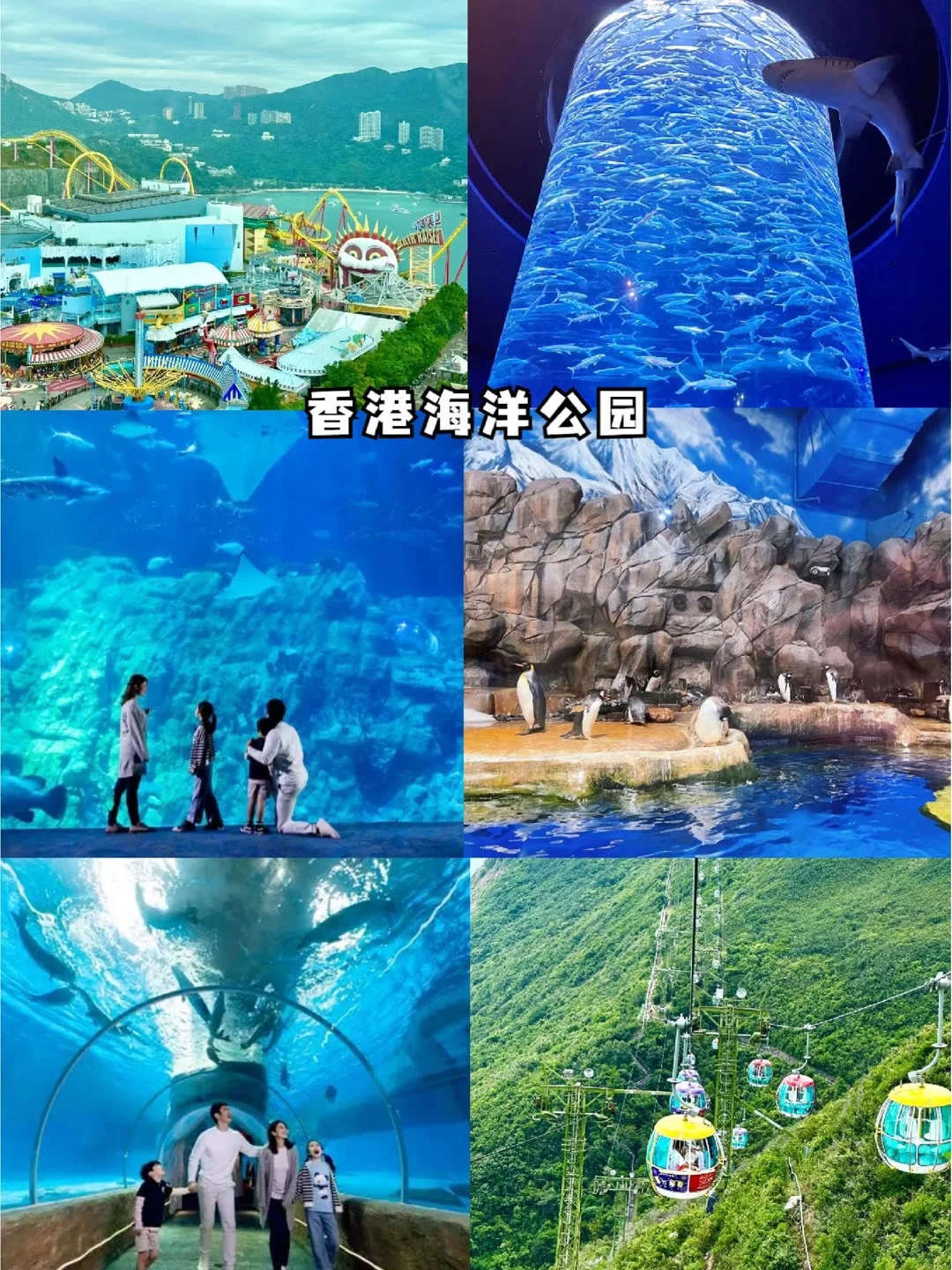 🇭🇰香港旅游必去景点