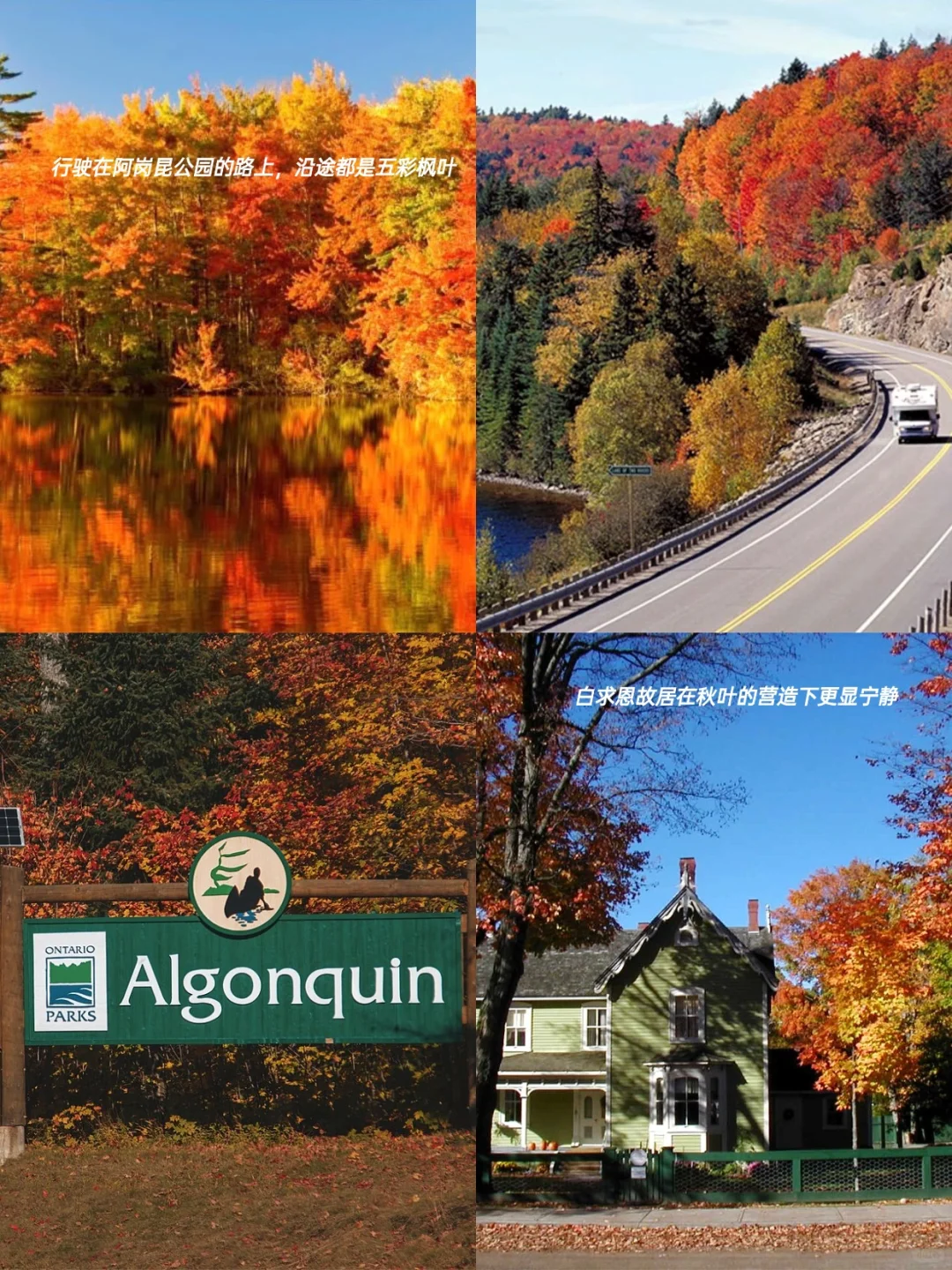 🍁阿岗昆公园一日游 | 红叶醉秋色，秋意浓