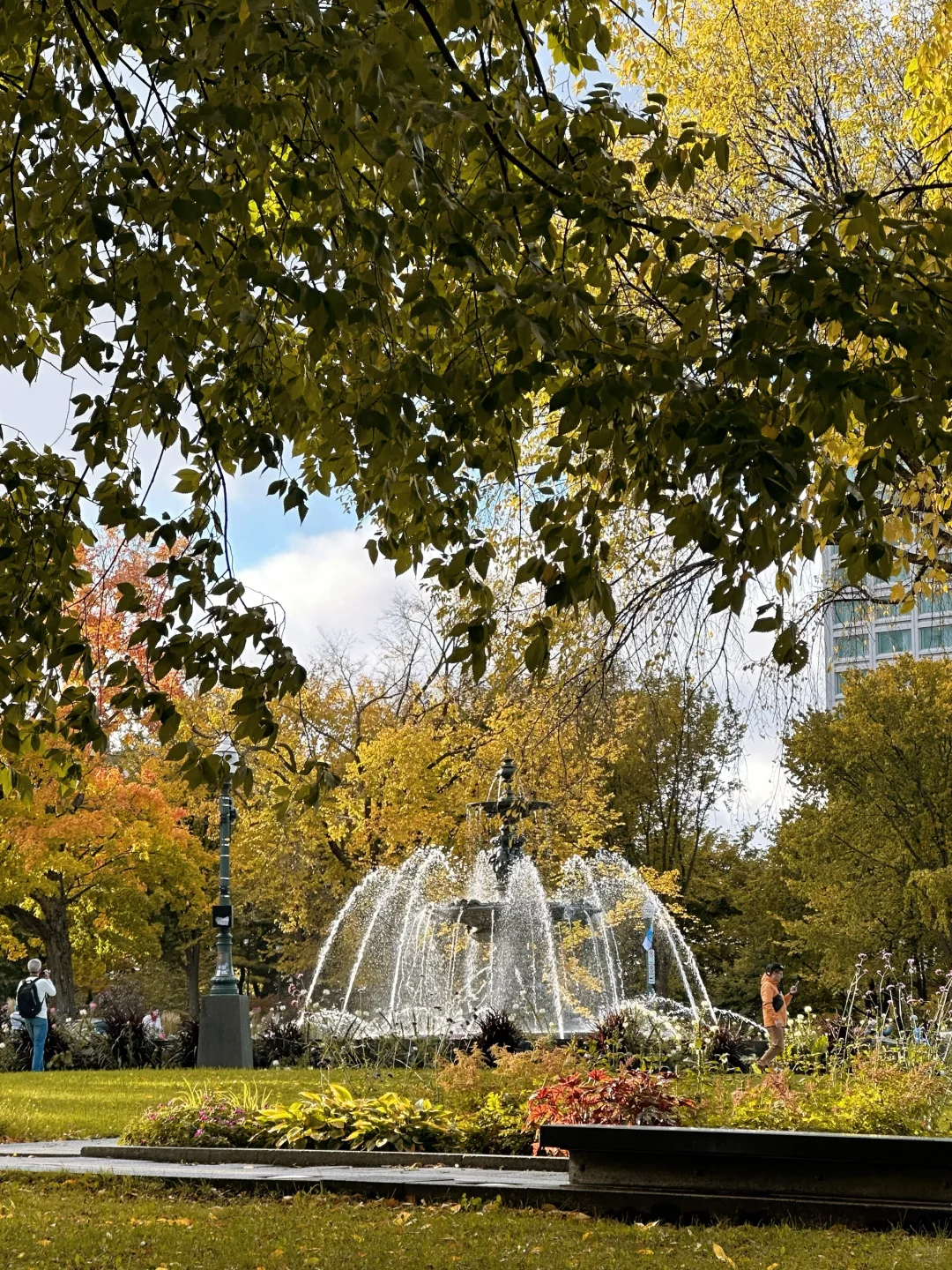 秋天的魁北克真的没有对手🍂重温鬼怪的季节