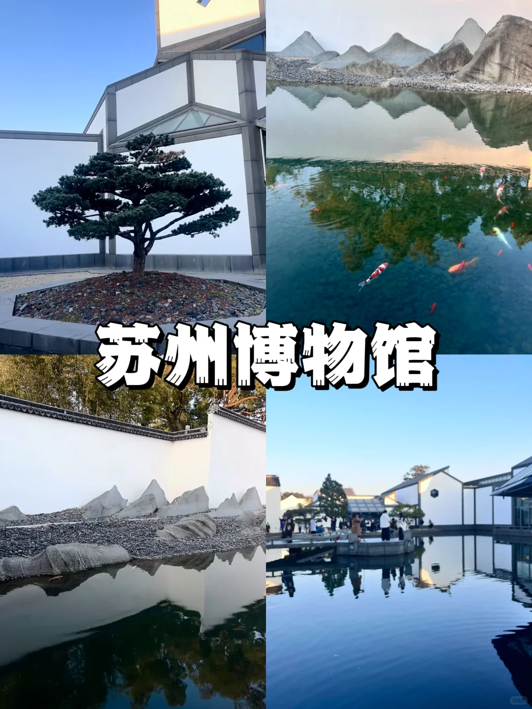 05女大📍苏州/三日游不走回头路线攻略❗️