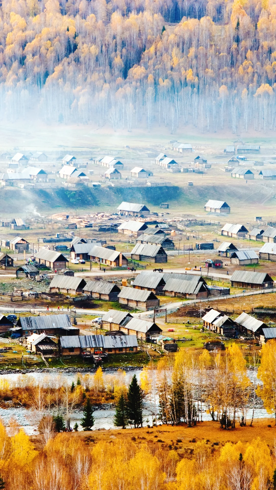 用满屏照片打开秋天的期待🍁🌰🧋…
