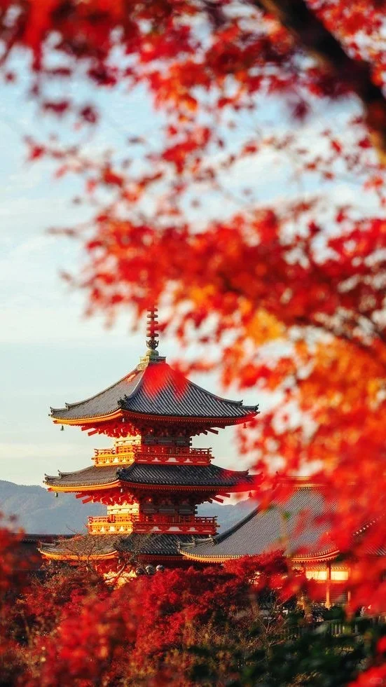 用满屏照片打开秋天的期待🍁🌰🧋…