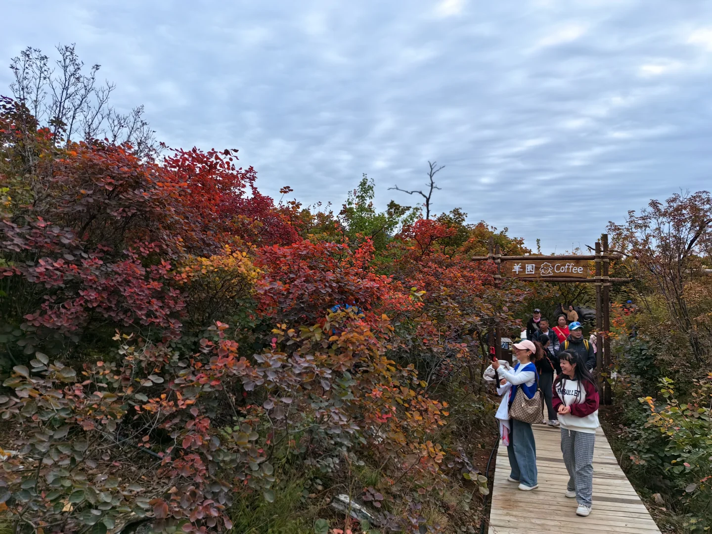 10月18日的坡峰岭红叶