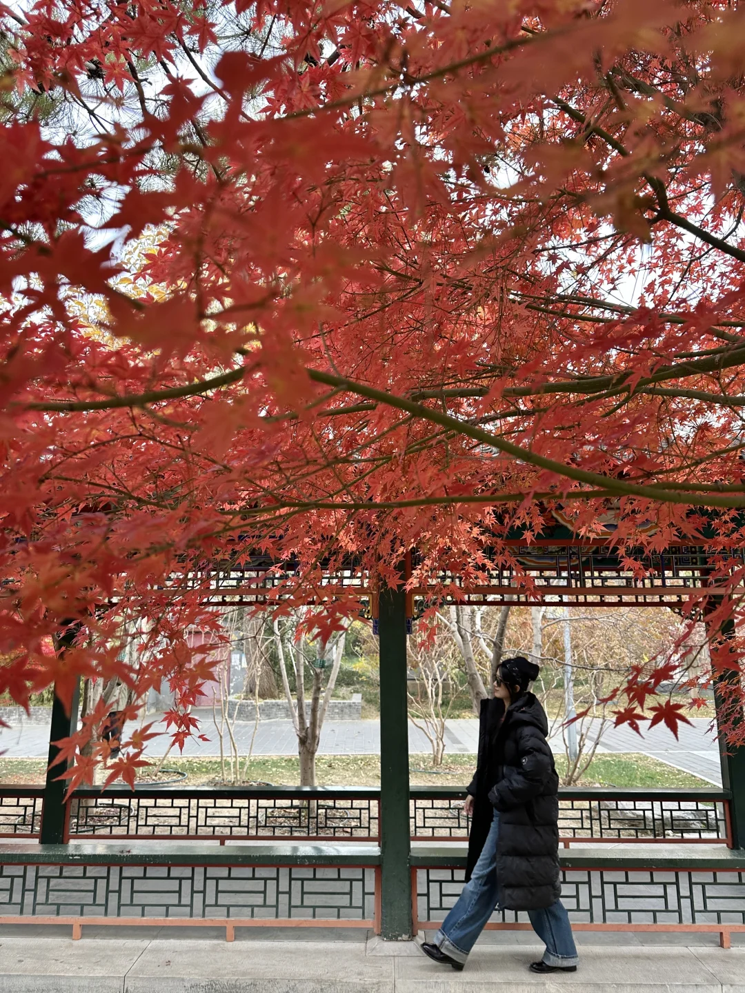 北平18图～🍂🍁 附位置📍