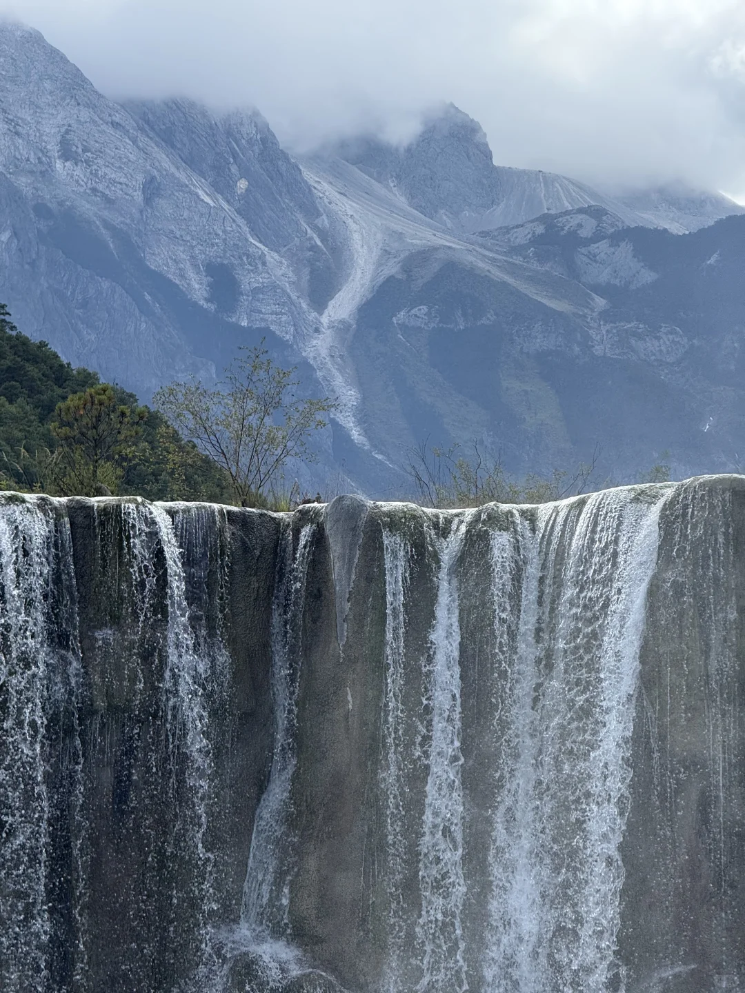 玉龙雪山去牦牛坪还是云杉坪，看这篇就够了