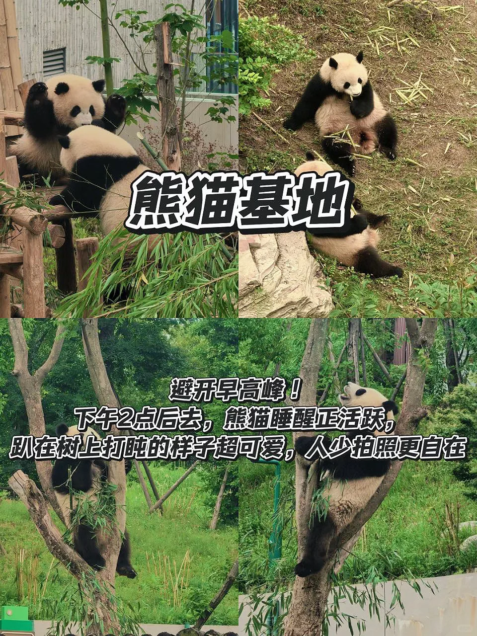 直接冲成都！玩的就是松弛感