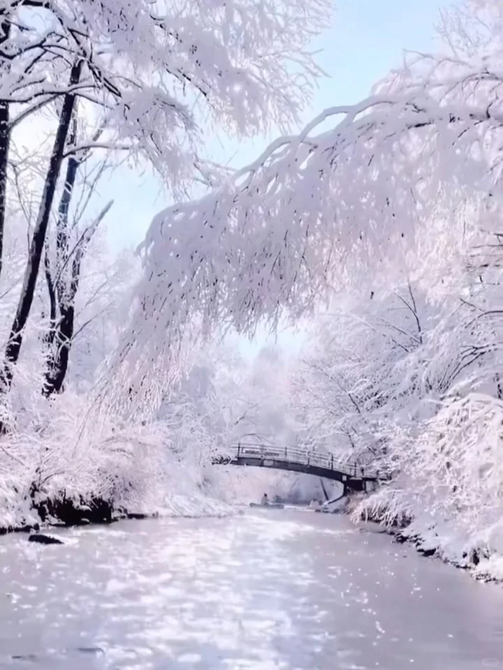 东北6天5晚保姆级攻略❄️长白山+延吉+哈尔滨