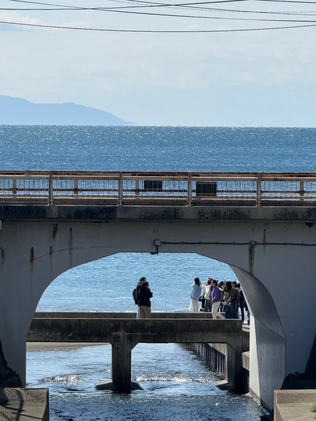 勇闯日本8天已回,别再听xhs乱说了😫