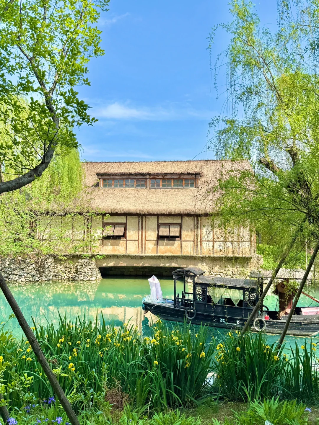 你说一句春不晚，我便来山东下“江南”