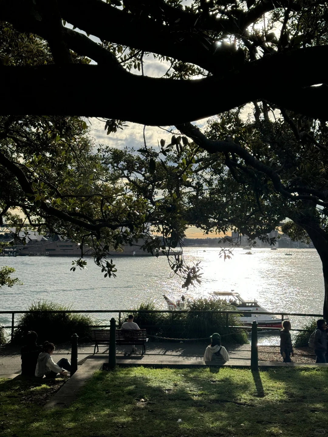 𝑺𝒚𝒅𝒏𝒆𝒚 𝑫𝒊𝒂𝒓𝒚🦘🇦🇺