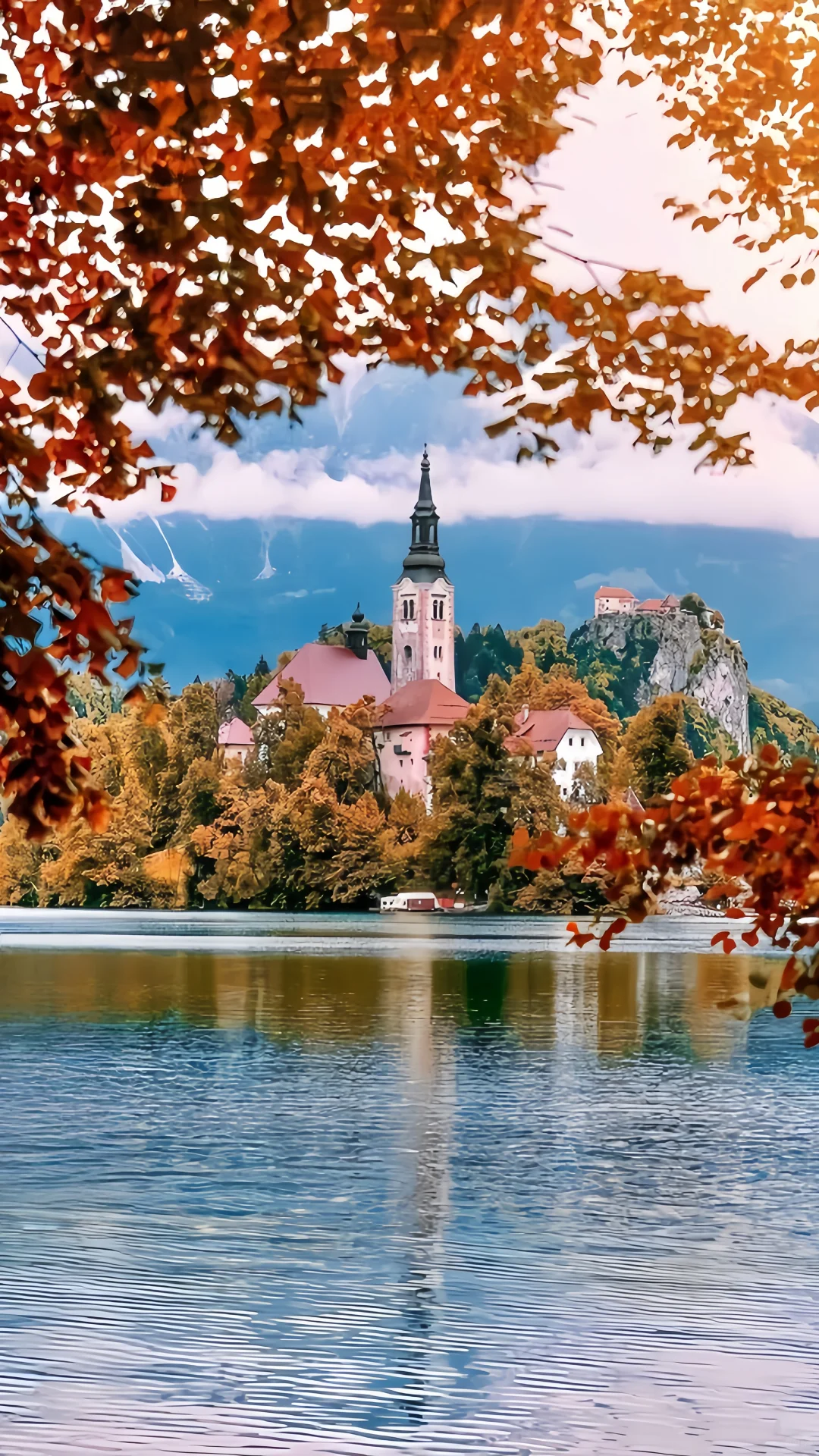 用满屏照片打开秋天的期待🍁🌰🧋…