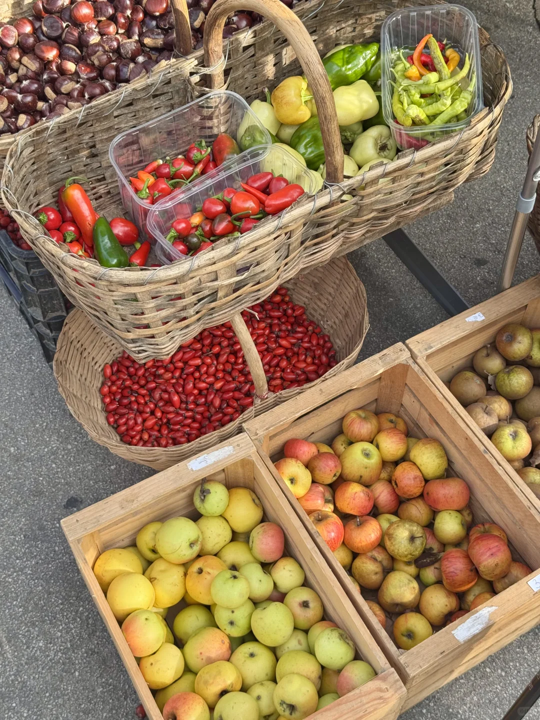 地球上怎么有人能这么幸福……