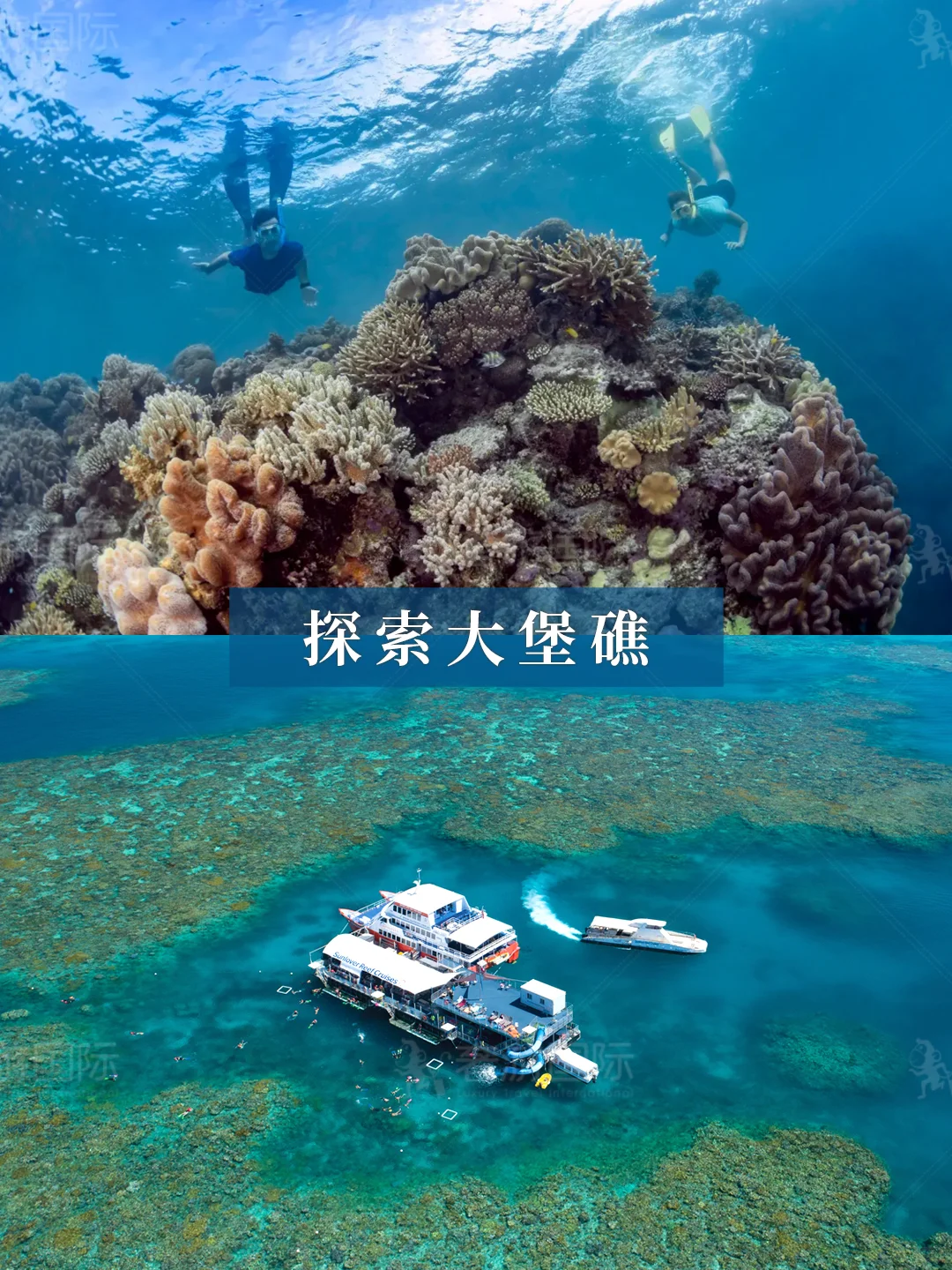 我宣布!澳大利亚这条线才是亲子游天花板