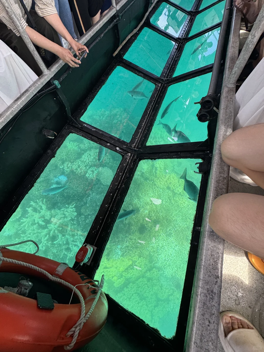 世界自然遗产大堡礁✅