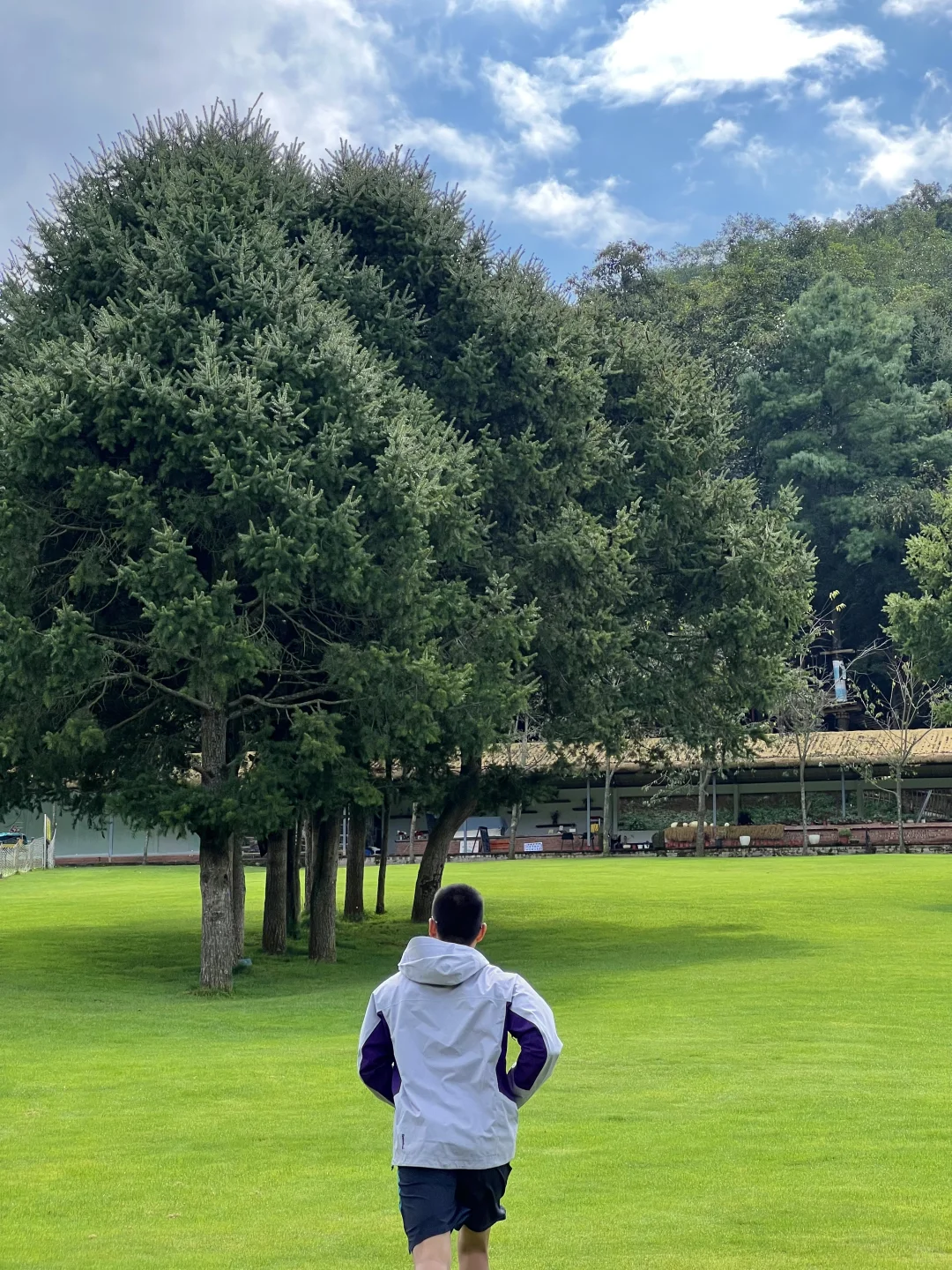 昆明40分钟,好像出国了一样,美哭了😭😭