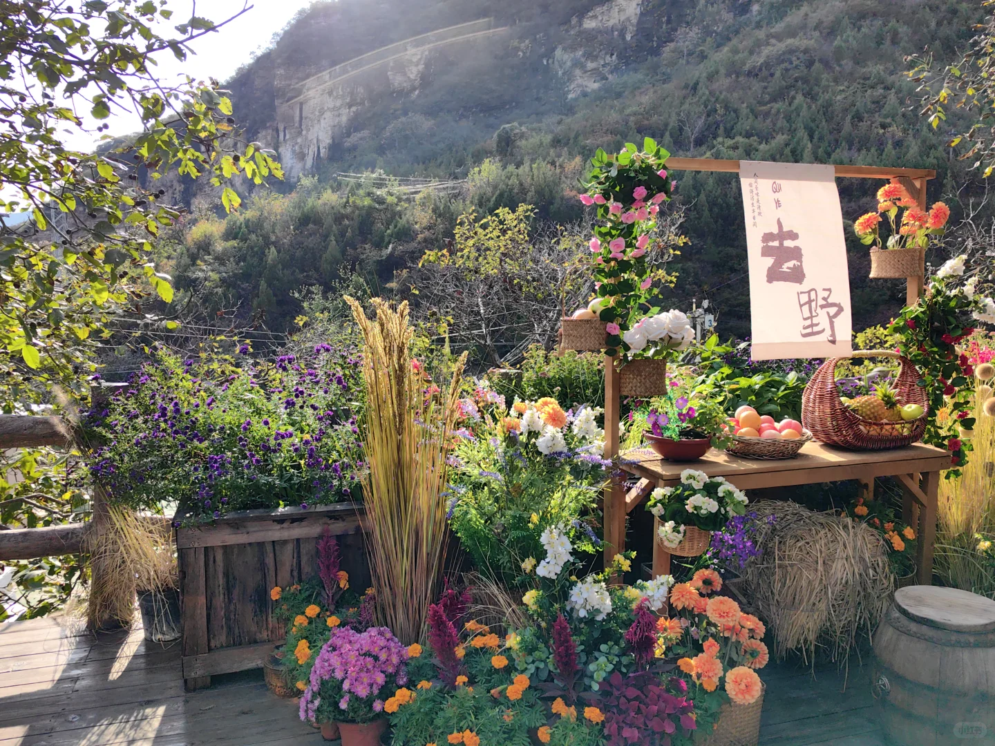 10月18日的坡峰岭红叶