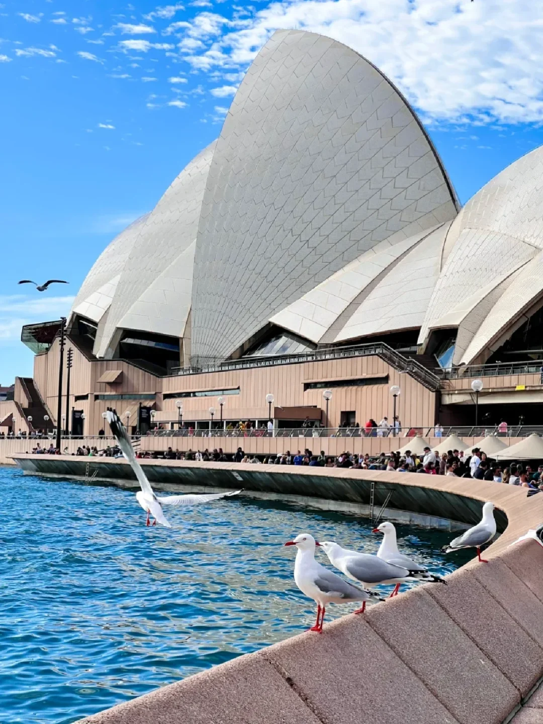 去澳洲玩了11天，真实感受（永远不删）