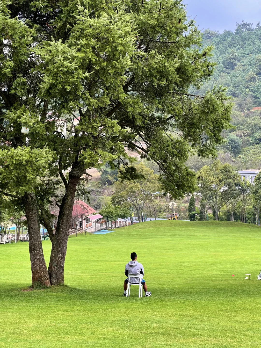 昆明40分钟,好像出国了一样,美哭了😭😭