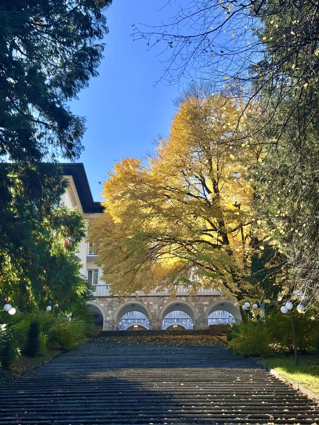 地球上怎么有人能这么幸福……