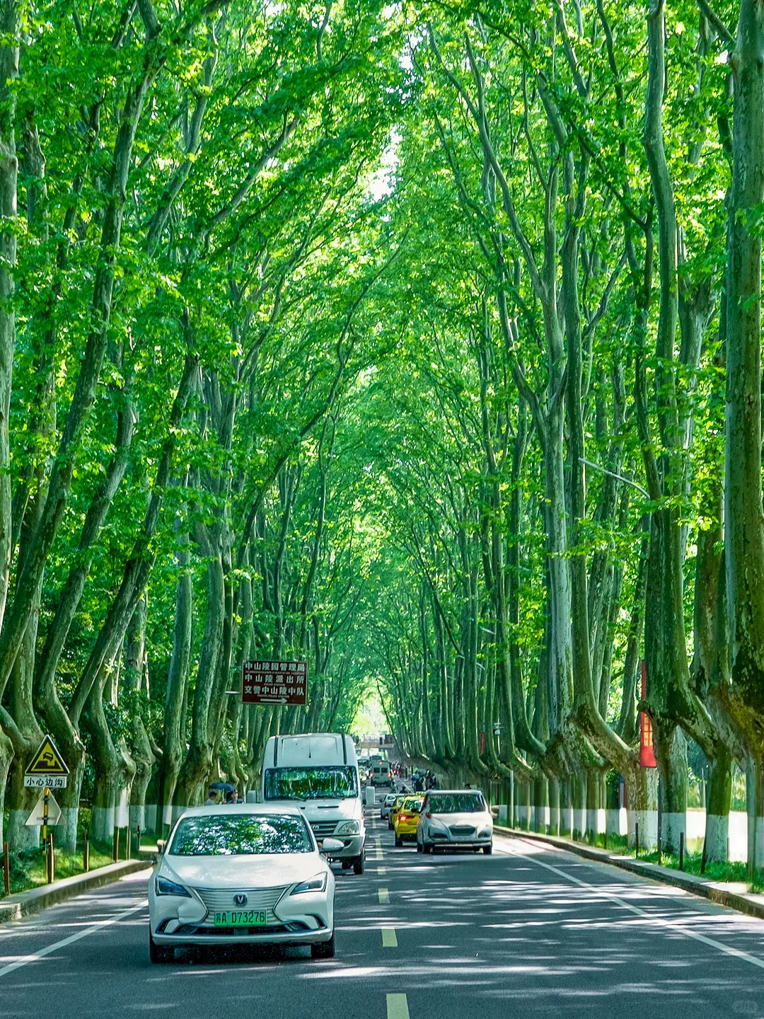 为了这1️⃣2️⃣张图，我专程去了趟南京！