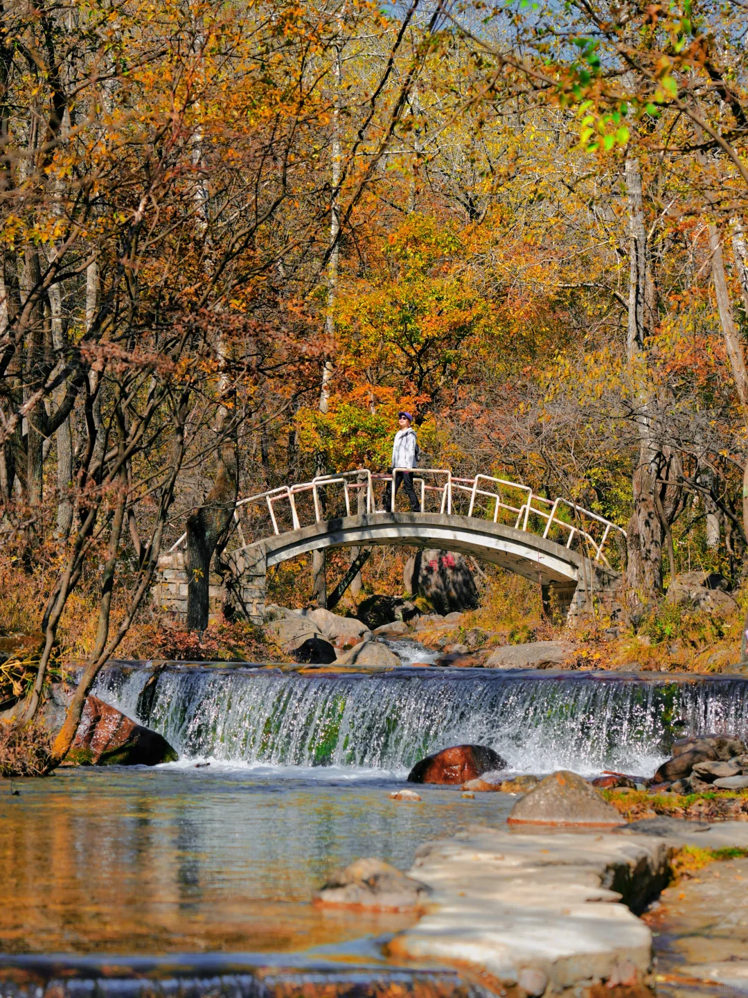 北京这❾个秋游地🍁真的祛魅不了一点‼️